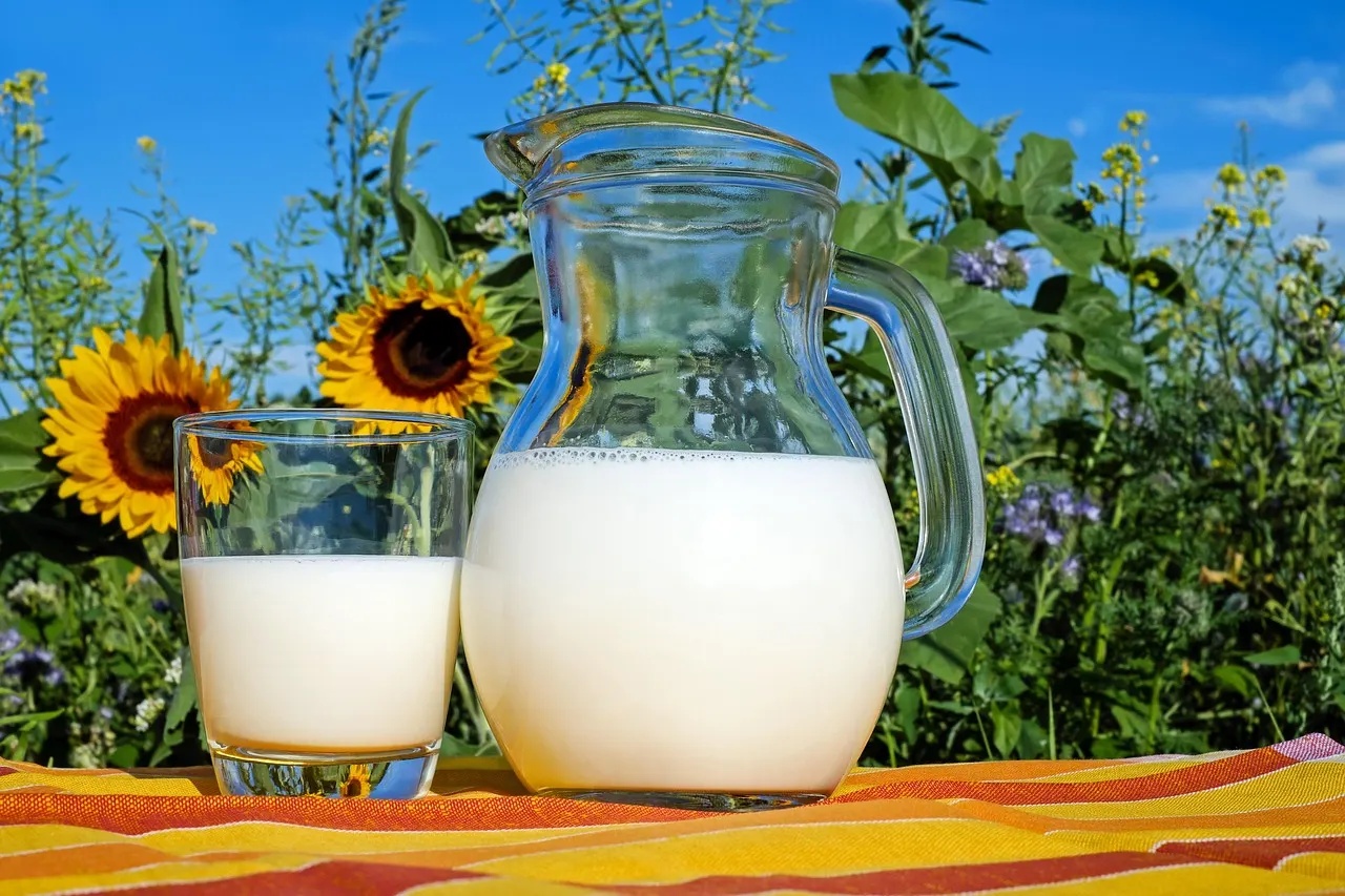 پارچ شیشه‌ای پر از شیر تازه روی سطح روشن